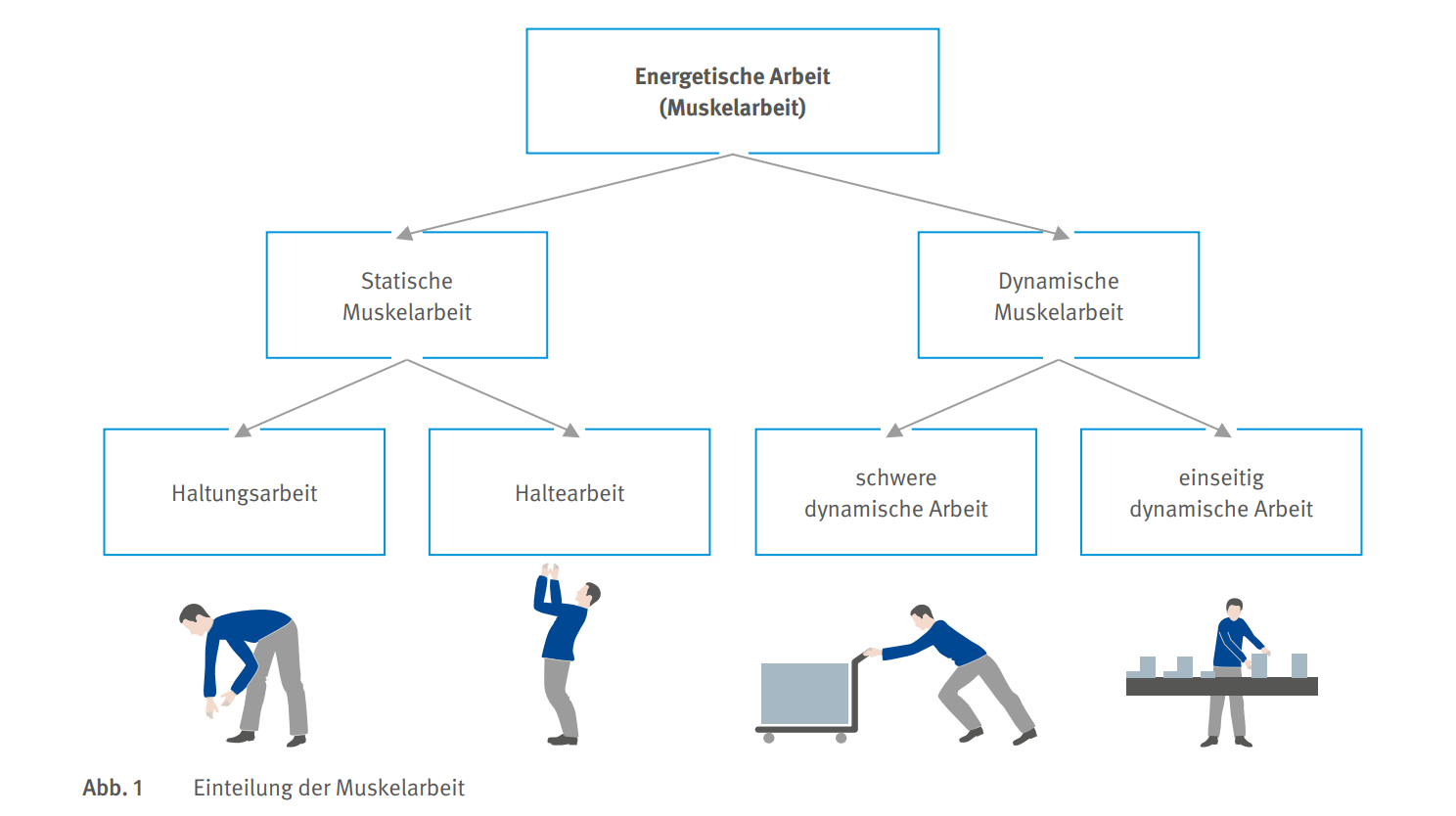 Leitmerkmalmethode Heben Und Tragen Heben & Tragen: Unterweisungen für einen gesunden Rücken